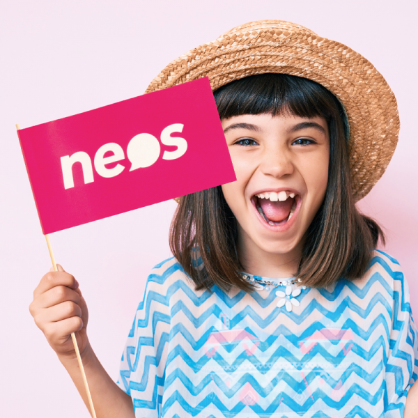 Vlaggetjes formaat A 11,5 x 24 cm