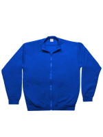 Bleu cobalt (PMS 2145C)