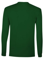 Vert bouteille