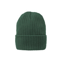 Vert bouteille