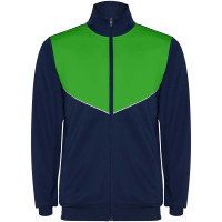 Bleu marine, Vert fougère