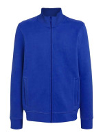 Bleu cobalt (PMS 2145C)