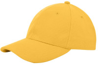 Jaune foncé (PMS 142c) / Jaune foncé