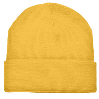 Jaune foncé (PMS 142c) / Jaune foncé