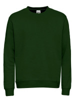 Vert bouteille (PMS 2411C)