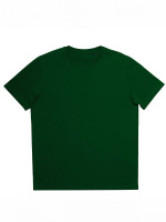 Vert bouteille