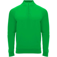 Vert fougère