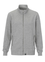 Gris mêlée
