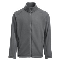 Gris acier