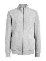 Gris mêlée (PMS Cool Grey 7C)