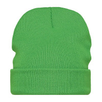 Vert (PMS 7488c) / Clair