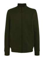 Vert olive (PMS 418C)