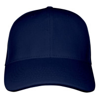 Marine (PMS 533c) / Marine