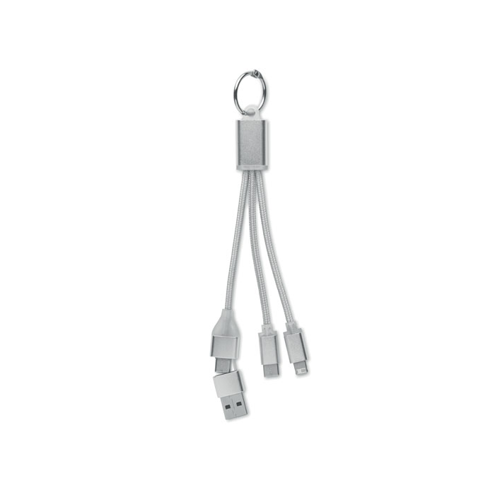 BLUE - Câble de charge 4 en 1 type C - Argent