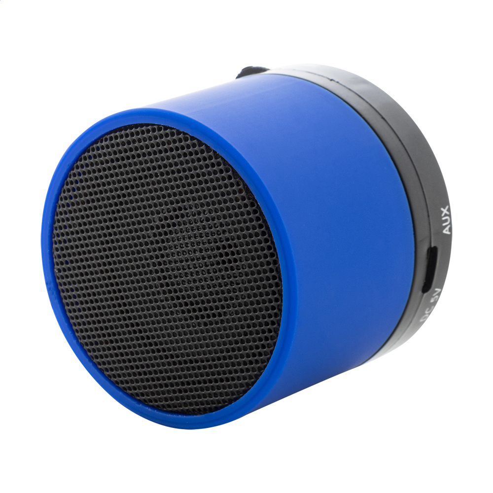 Colofi - Enceinte sans fil RABS