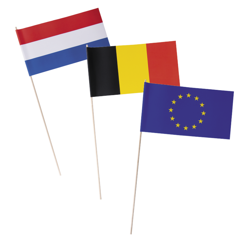 Landenvlaggetjes 11,5 x 24 cm