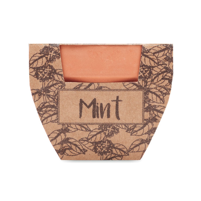MINT POT - Potje munt