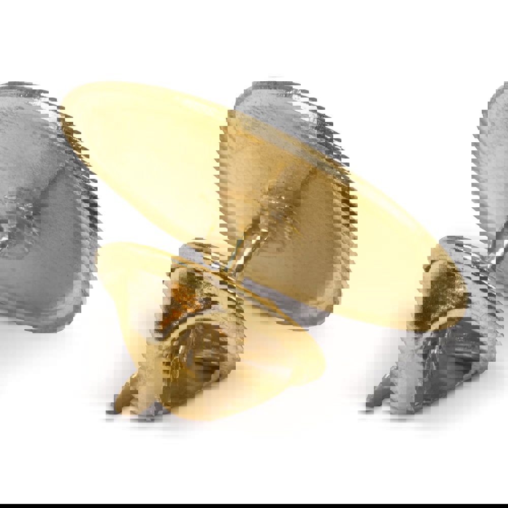 Badge metalen pin Ø20mm