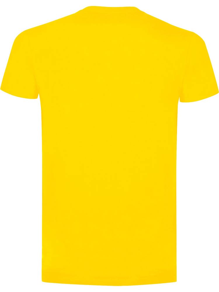 BS Evolution t-shirt, 150 gr/m²