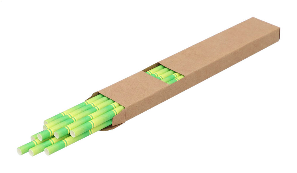 BamStraw - set de pailles