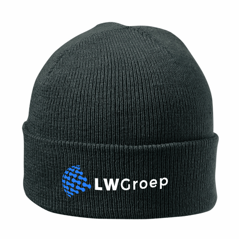 Beanie With Brim - grijs