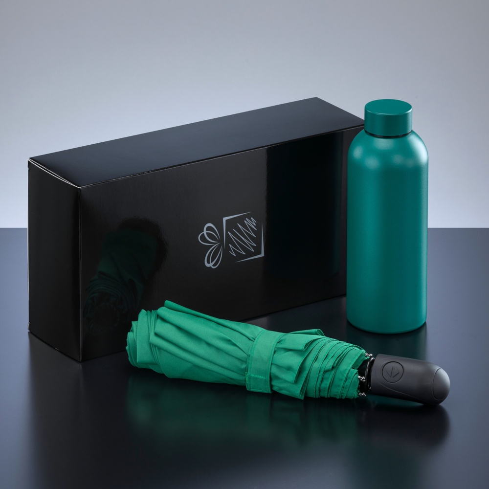 Active Set: thermische waterfles 500 ml & automatische paraplu - Groen