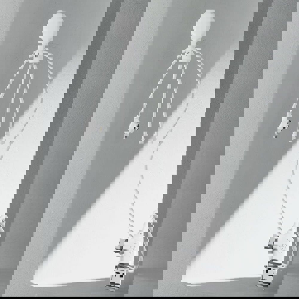 2089 | Xoopar Mr. Bio Long Power Delivery Oplaadkabel