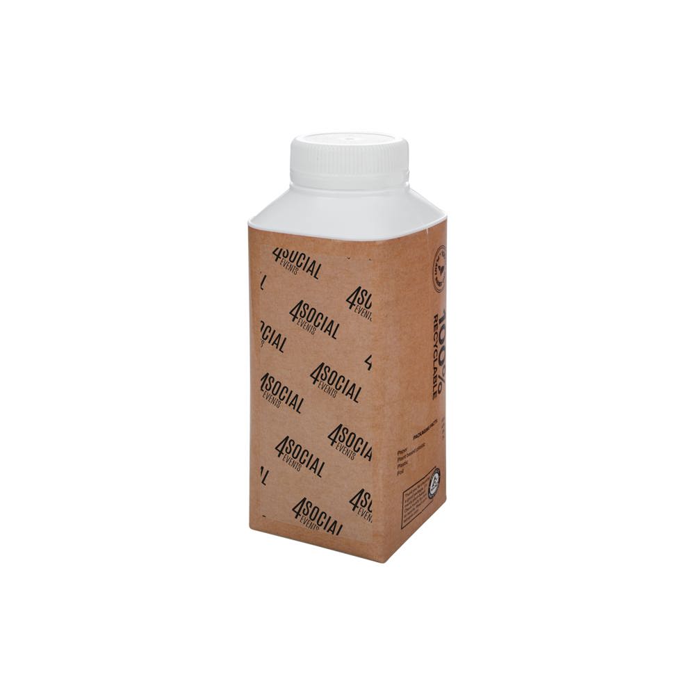 EARTH Water Tetra Pak 330 ml - bruin
