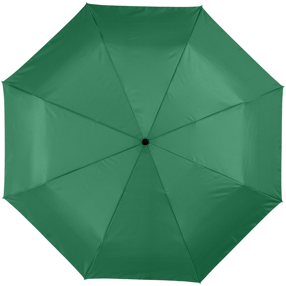 Alex 21,5'' opvouwbare automatische paraplu