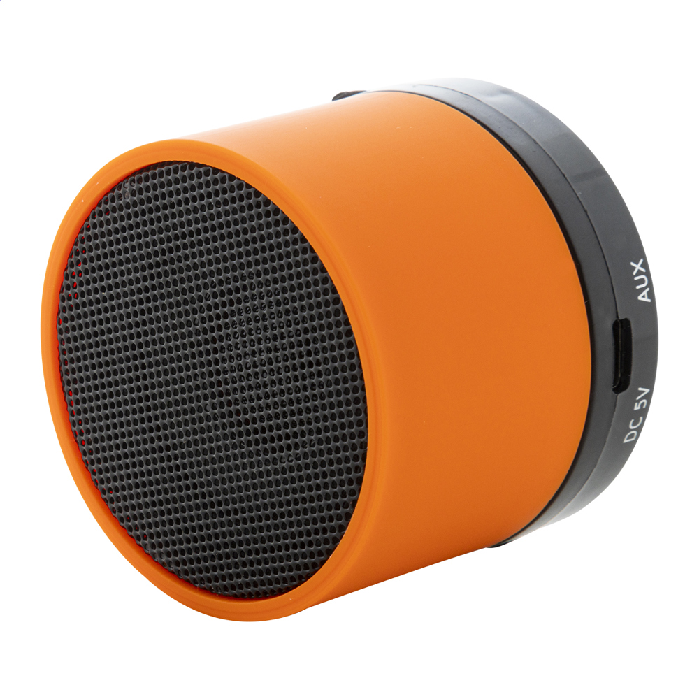 Colofi - Enceinte sans fil RABS
